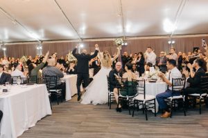 Wedding reception photo - NST Pictures