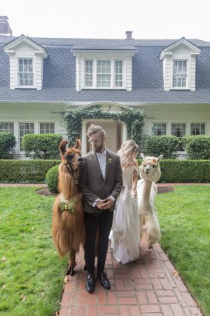 Wedding Llamas - Szu Designs, Inc