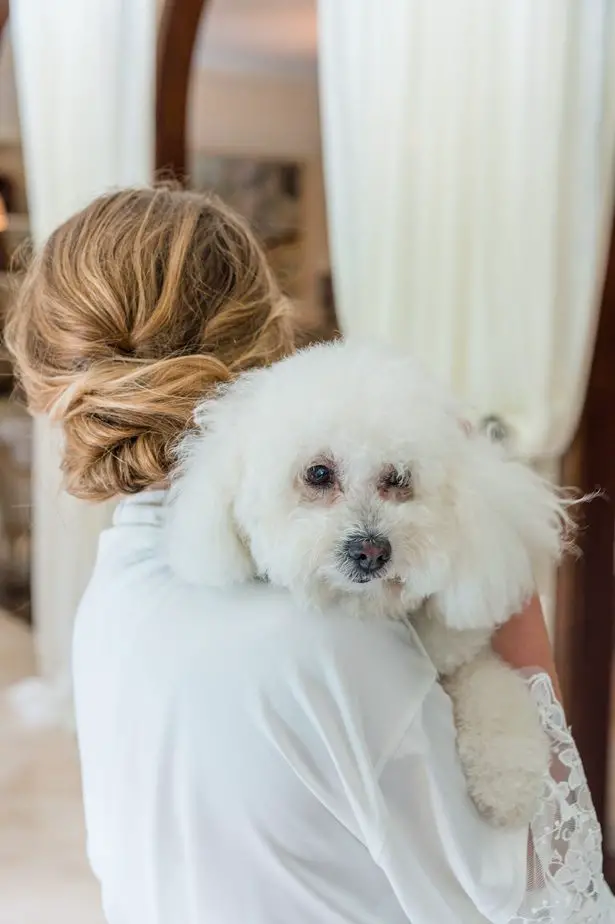 Wedding dog - Heather Durham Photography
