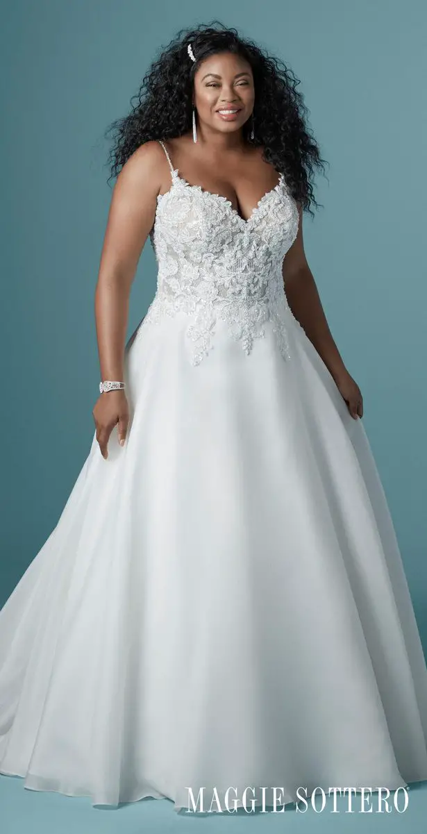 stunning ball gowns plus size