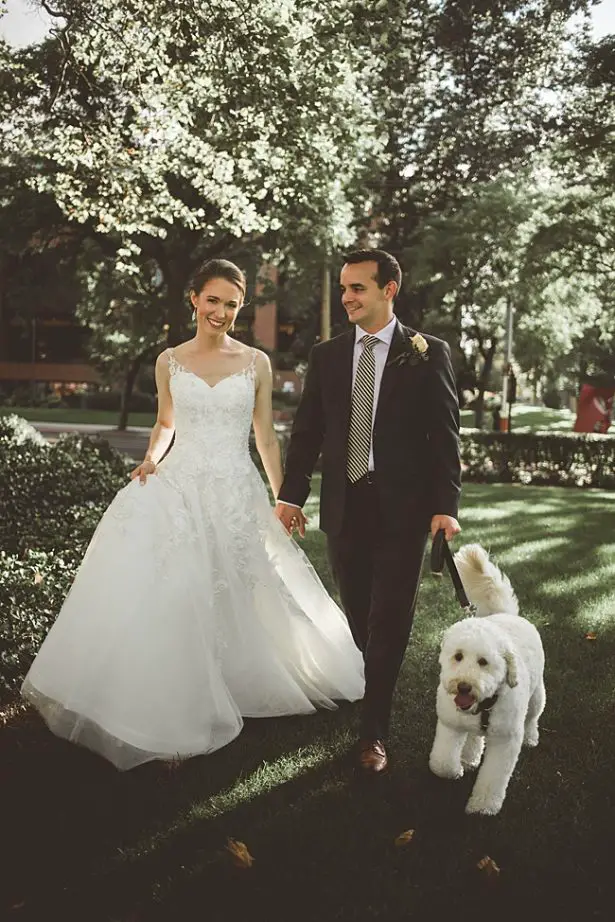 Elegant Fall Wedding photo of bride and groom walking with their goldendoodle dog ring bearer - Aileen Elizabeth Photography