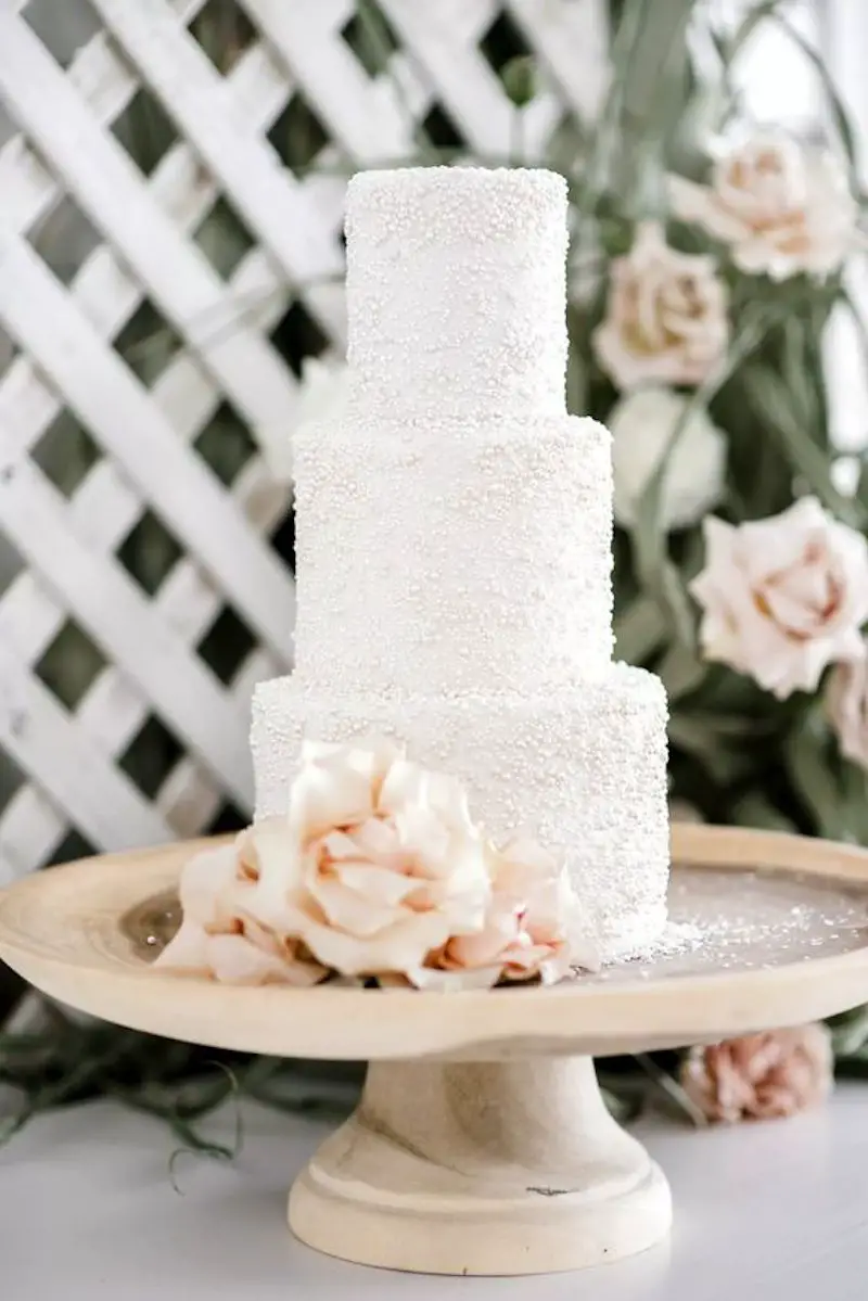 2022 Wedding Trend Pearl Cake Design - KAITLIN MARIE PHOTOGRAPHY