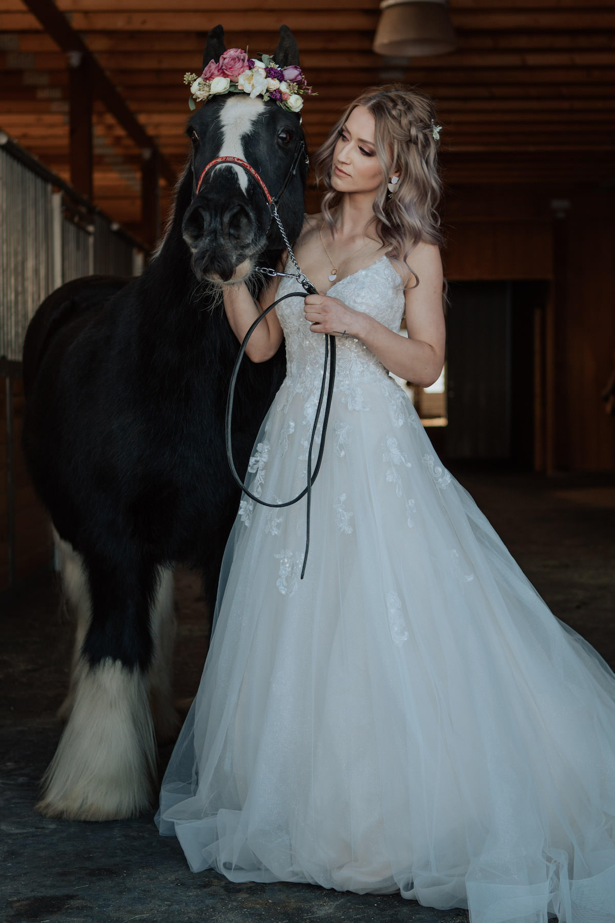 Bride and horse photo - Lauren Finch Photography