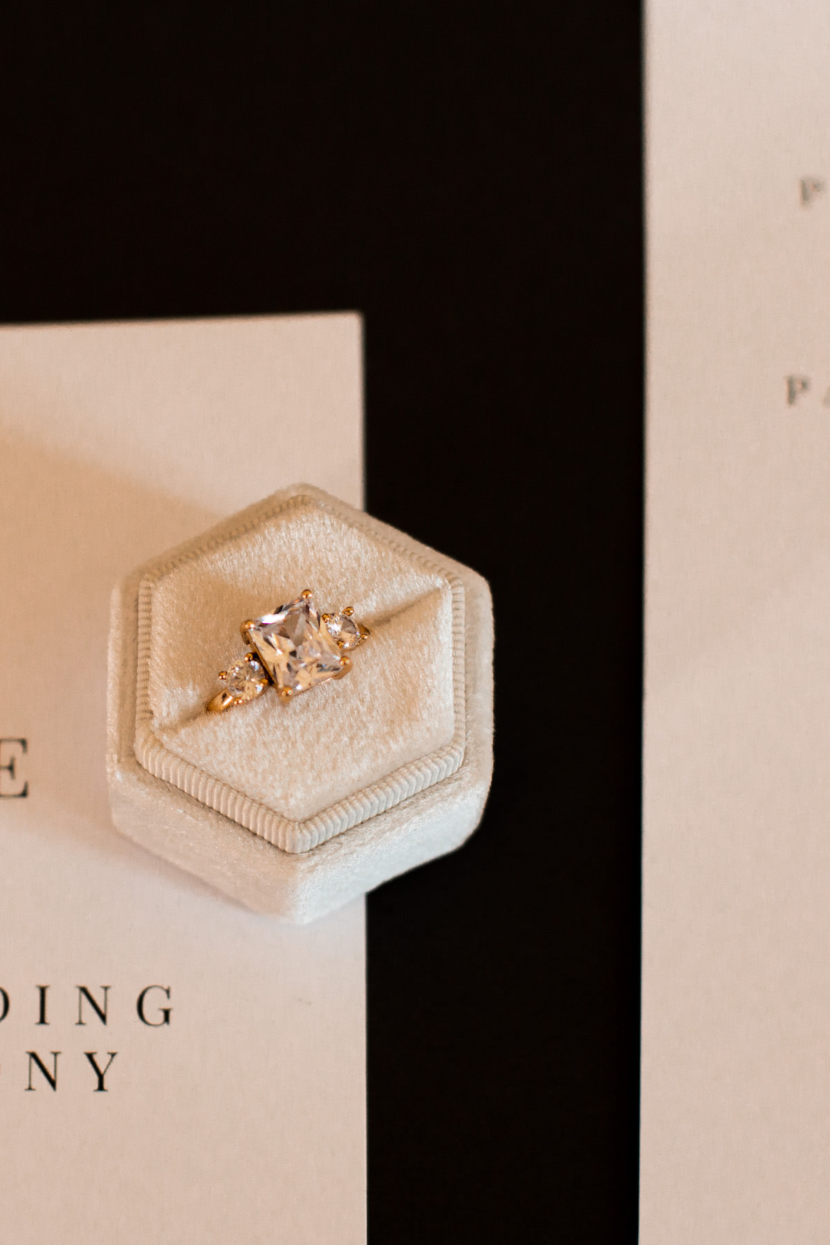 Diamond three stone engagement ring - Eva Rendl Photography